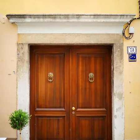 Old Town Stylish Andi ザダル