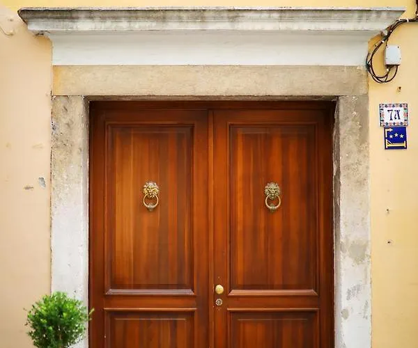 Old Town Stylish Andi ザダル